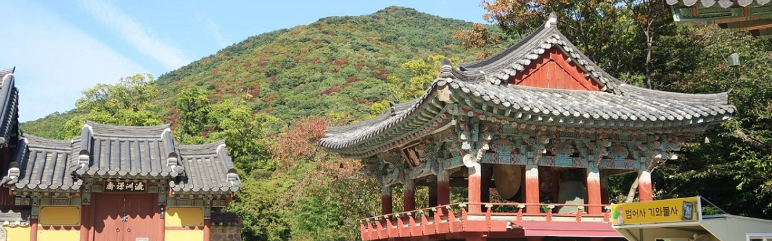 Templo Beomeo-sa em Busan, Coreia do Sul, com sua arquitetura tradicional coreana, incluindo telhados ornamentados e detalhes coloridos. Ao fundo, uma colina arborizada repleta de vegetação, destacando a integração do templo com a natureza ao redor.